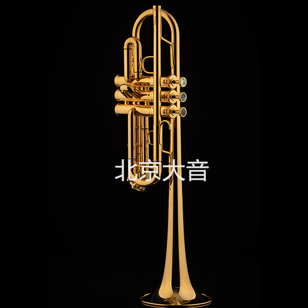 沙格爾 1961 Schagerl 1961